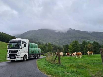 Bild 2:Maisballen zum Top-Preis