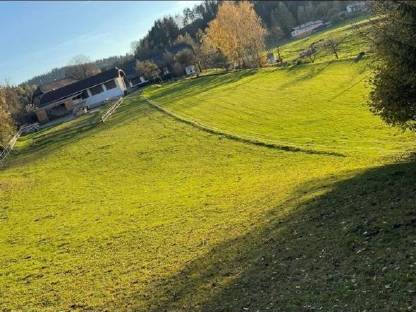 Bild 2:Offenstall Einstellplätze