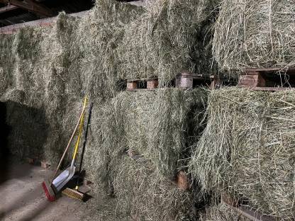 Bild 4:Verkaufe Heu Ernte 2025