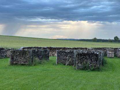 Bild 2:Brennholz Buche