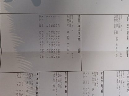 Bild 3:weibliches Braunviehkalb zu verkaufen