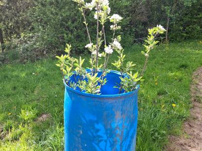 Bild 2:Tonnen für Wasser oder Getreide