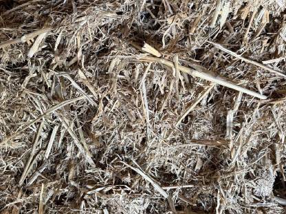 Bild 2:Bio-Miscanthus (Elefantengras) Einstreu