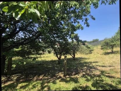 Bild 6:Einstellplatz für Pensionisten zu vergeben