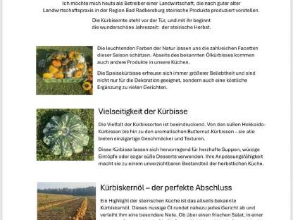 Bild 2:Zier- und Speisekürbisse zu verkaufen