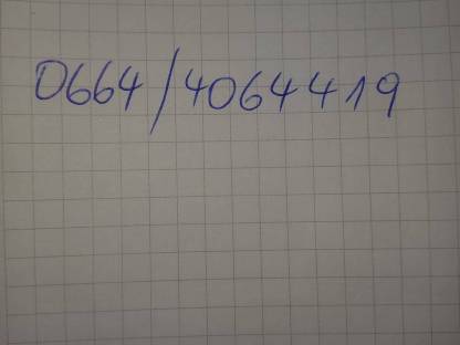 Bild 5:2 Braune Norikerstuten