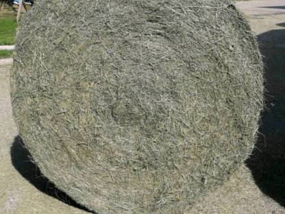 Heurundballen belüftet, 2. Schnitt