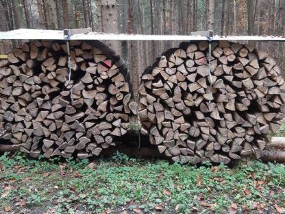 Holzbündel Brennholz Buche