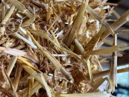 Bild 4:Heu, Stroh zu verkaufen