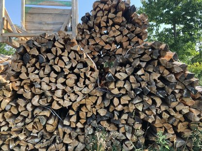 Brennholz Bündel Kiefer