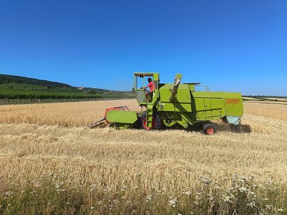 Bild 2:Claas Consul Mähdrescher