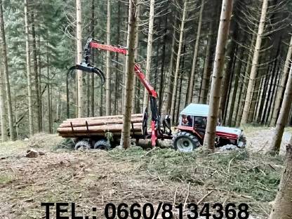 Bild 9:Steyr 8055 A
