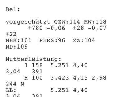 Bild 3:FV Zuchtkälber