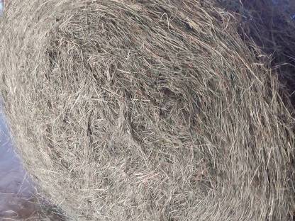 Bild 2:Heu