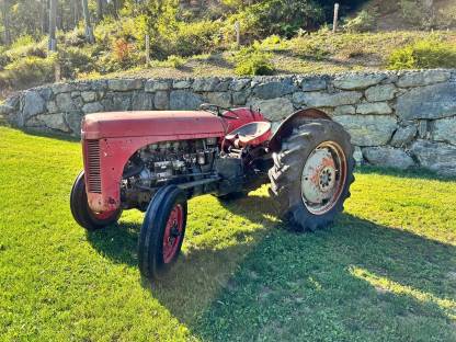 Massey Ferguson TEF 28