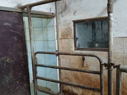 Bild 4:Melkstand Westfalia Tandem Doppel Drei + 1x Quer