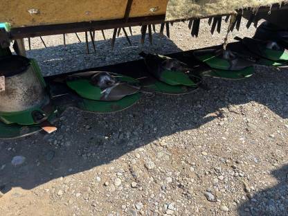 Bild 8:Mähwerk Krone Easy Cut 280CV