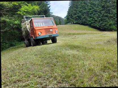 Bild 2:Reform Muli 45