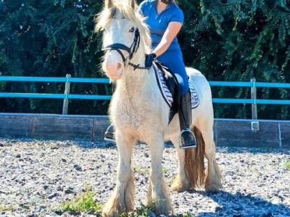 Bild 2:Verkaufe Tinkerwallach