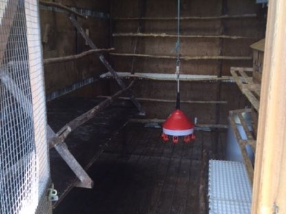 Bild 7:Mobilstall für Legehennen