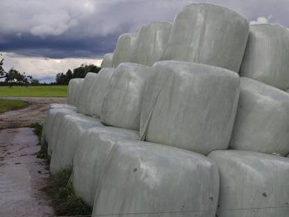 Siloballen zu verkaufen