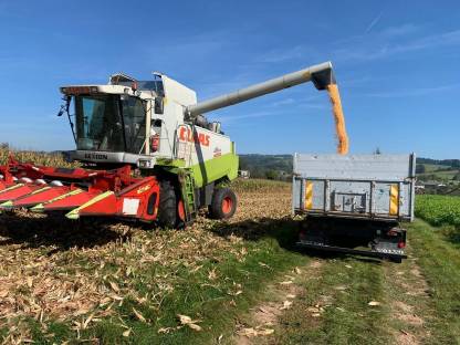 Bild 9:Volvo F610 Kipper