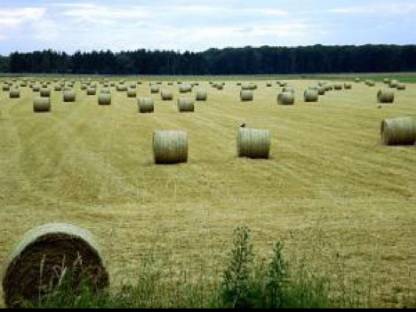 Bild 2:Rundballen Heu und Grummet