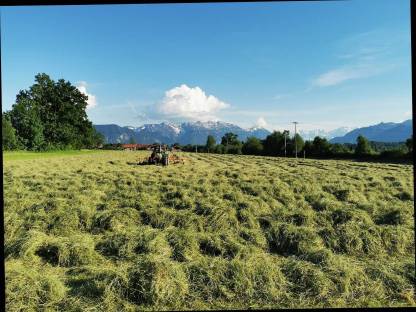 Bild 7:Heu Grummet Rundballen