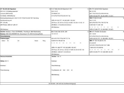 Bild 8:Zuchtschafbock