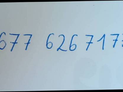 Bild 9:Frontpacker Gehmaier