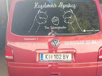 Bild 6:Hubgerüst starke Ausführung