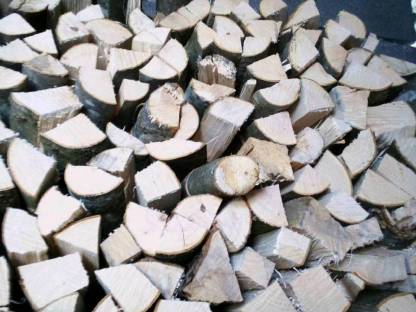 Buchenholz