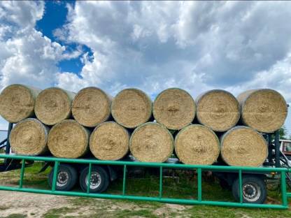 Stroh Rundballen