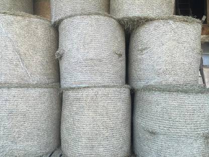 Bild 2:Heu Rundballen