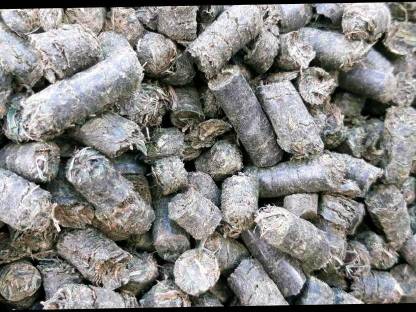 Bild 2:Grascobs Heucobs