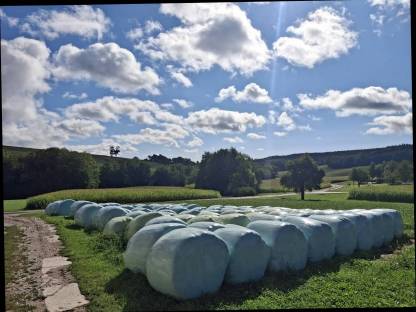 Siloballen 1. Schnitt 2025