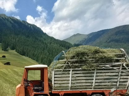 Bild 4:Reformmuli 33 inkl. Zusatzgeräte