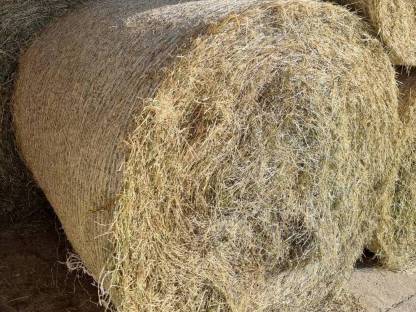 Bild 2:Grummetballen