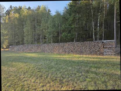 Bild 2:Brennholz weich