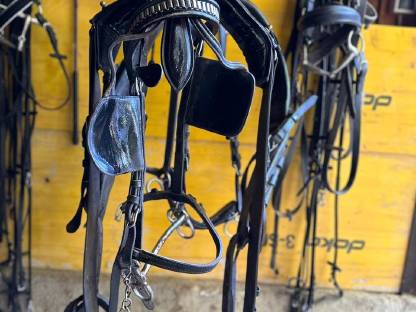 Bild 7:Wagonette für 8 Personen