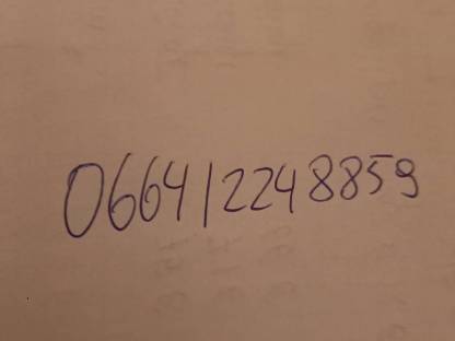 Bild 6:Kofferanhänger Humbaur