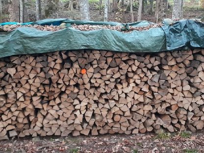 Brennholz Hart und Weich