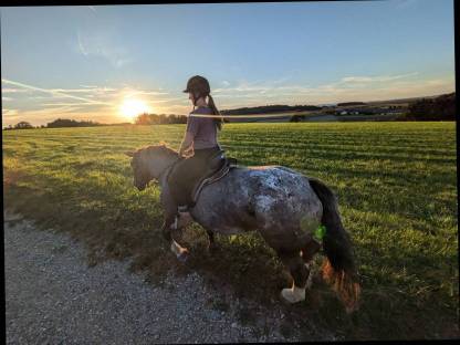 Bild 2:Ausbildung in Kutschenfahrten, Reiten, Holzrücken