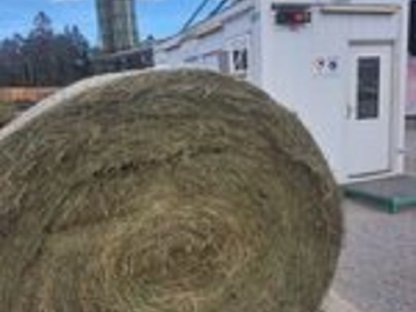Bild 2:Heu, Hallengelagert, gute Qualität, regenfrei