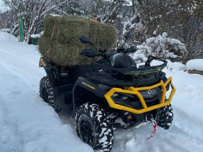 Bild 3:Can Am Outlander 1000 Max XTP