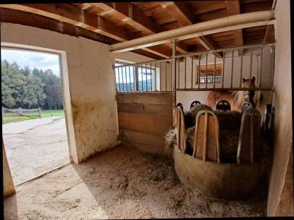 Bild 4:Einstellplätze auf Kurtispferdehof in Ligist