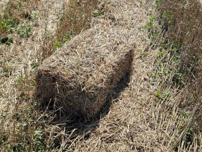 Bild 2:Strohballen