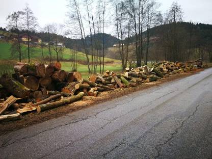 Brennholz zu verkaufen