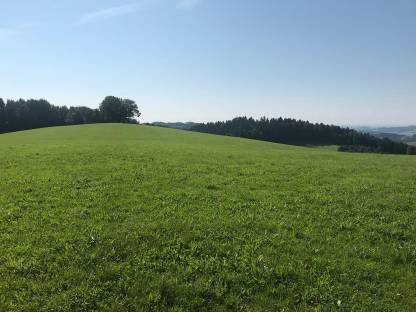 Bild 2:Bio Heu/Grummet