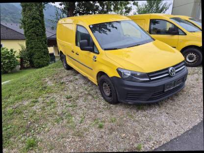 Bild 3:Caddy 4x4 Maxi